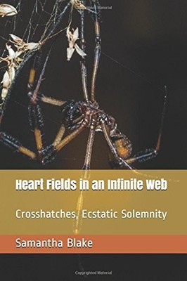 HEART FIELDS IN AN INFINITE WEB: CROSSHATCHES, ECSTATIC By Samantha Blake *NEW*