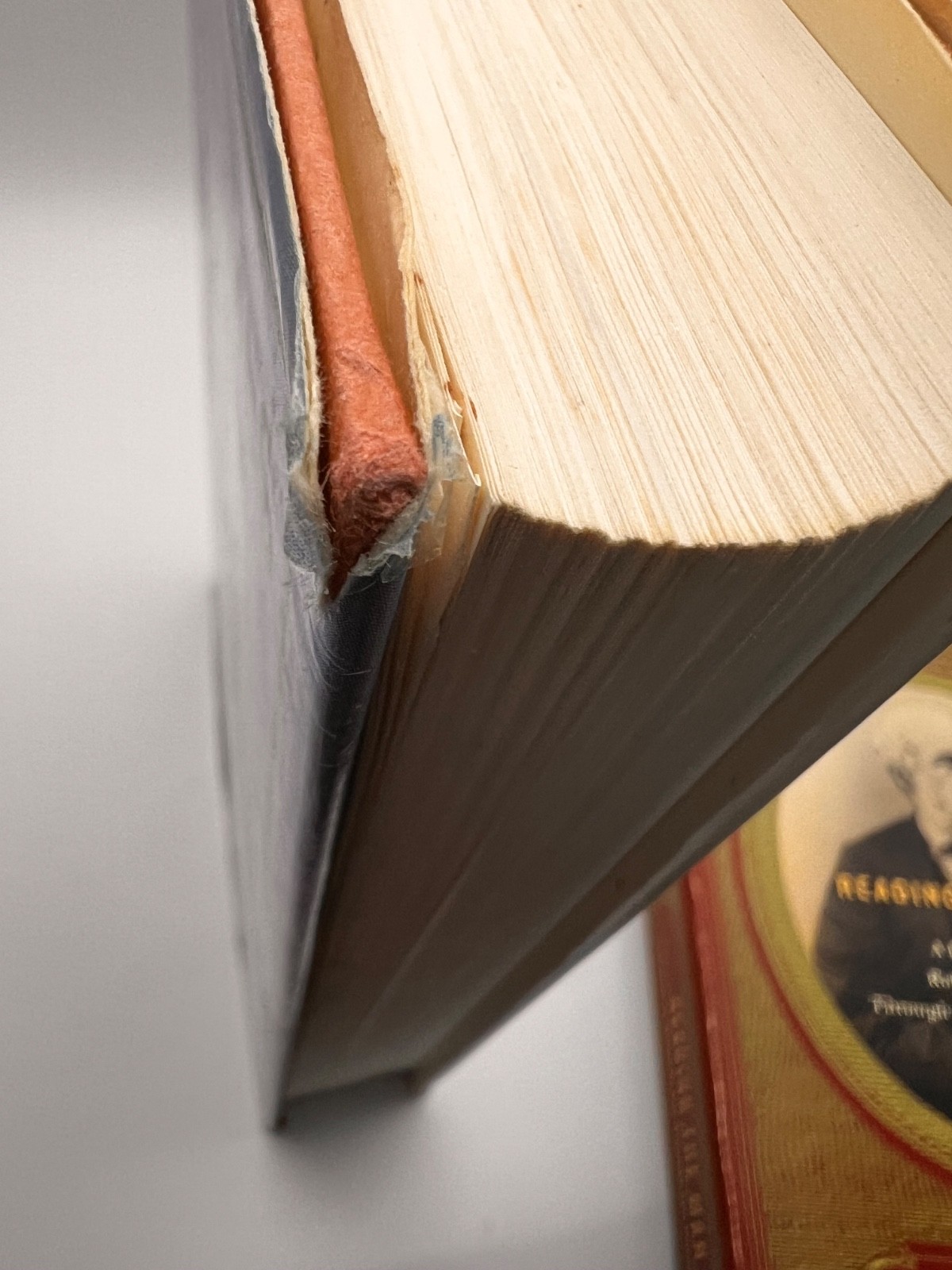 CIVIL WAR 5 Book Lot Lee, Longstreet, Stonewall, Forrest, Rebel Armies 2 HC 3 PB