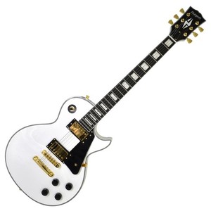 Photogenic Guitar | eBay