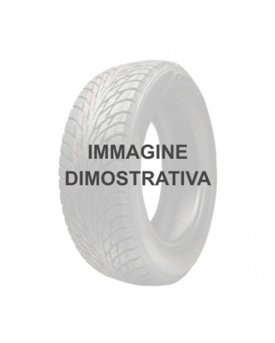 205/55 R16 TL 91V FORTEZZA