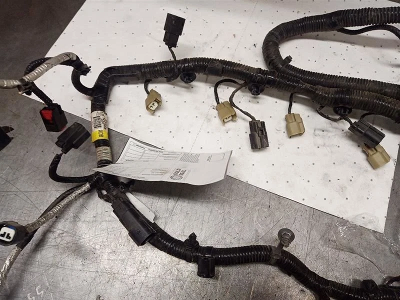 DU5T-12C508-ADB Engine Wire Harness from 2014 Ford F150 5.0L AT 4X4 10560601 - Image 4 of 4