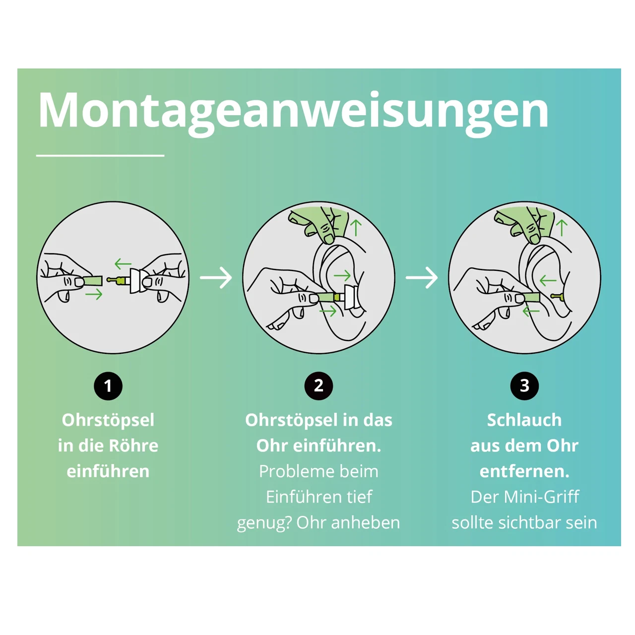 Bild 6 von 6