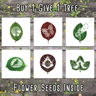 TREE PLANTING Leaf Art Cards with FLOWER SEEDS. Zero Waste & Recycled ...