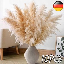 10 St&uuml;ck Pampasgras XXL flauschig Trockenblumen 100 cm gro&szlig;e Pampas Grass Deko