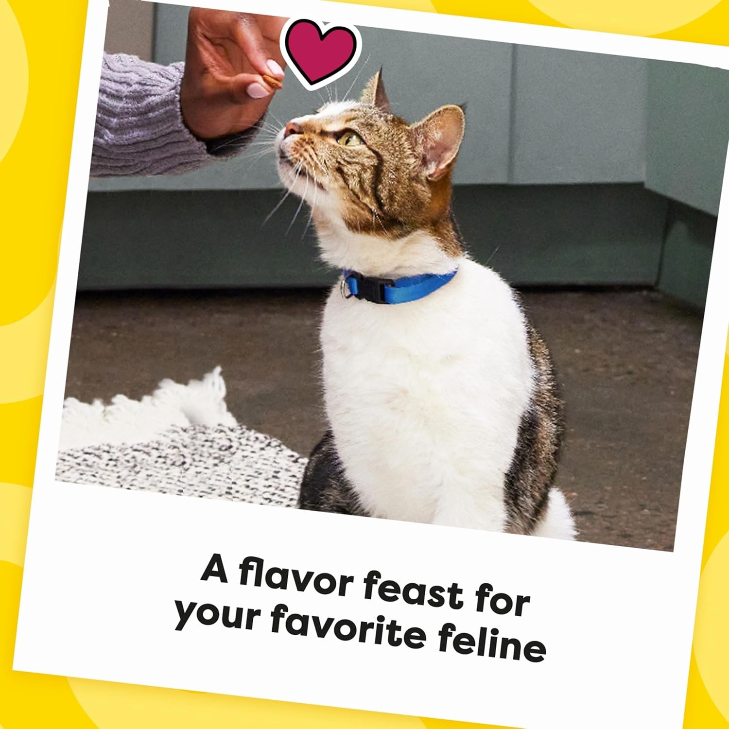 Temptations MixUps Backyard Cookout Flavor Crunchy and 1.88 Pound (Pack of 1) 