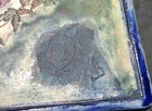 Bild 7 von 12