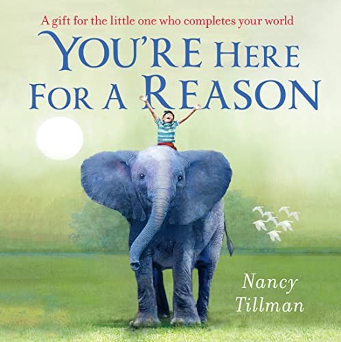 Youre Here for a Reason by Nancy Tillman 9781035002726 - Image 6