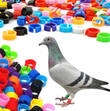 100pcs Pigeon Foot Ring Bands Chick Bird Clip on Leg Rings Dove Duck Foot Rings