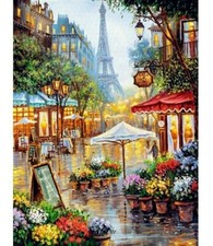 Paint By Numbers Adults kids Paris Street City DIY Painting Kit 40x50CM Canvas