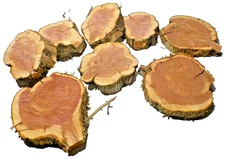 Set Of 3 Red Cedar Live Edge Cookie Slabs Chainsaw Milled 3in Thick SHIPs FREE