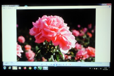 NEC NP-PA622U+NP13ZL*Installations-Beamer Projektor projector