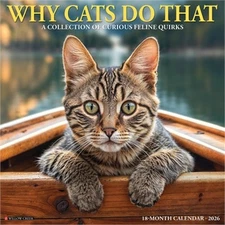Why Cats Do That 2026 12 X 12 Wall Calendar (Bookbook - Detail Unspecified)