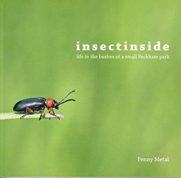 Insectinside | Taschenbuch | Englisch (2017) | Kartoniert / Broschiert-image
