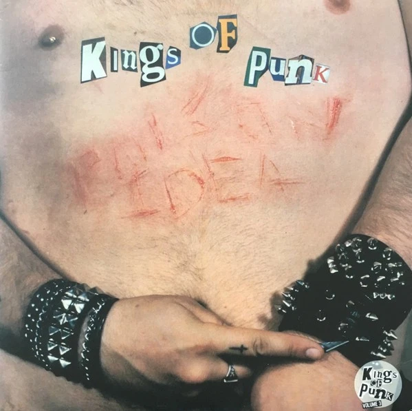 💀POISON IDEA💀 Kings Of Punk DBL LP Multicolor /100 RE TKO 2013 Pushead Pusmort - Image 3 of 4