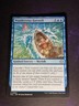 MTG * Wanderwine Farewell Lorwyn Eclipsed * 1X * NM