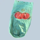 Vintage 1940s US Military WW2 Tomato Painted Art Canvas Army Duffle Laundry Bag
