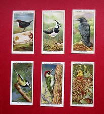 PLAYER  SIX SCARCE 1932  VINTAGE CIGARETTE CARDS &nbsp; WILD BIRDS  10-20-31-40-48-50