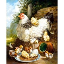 Paint By Numbers Adults kids Hen And Chick DIY Painting Kit 40x50CM Canvas