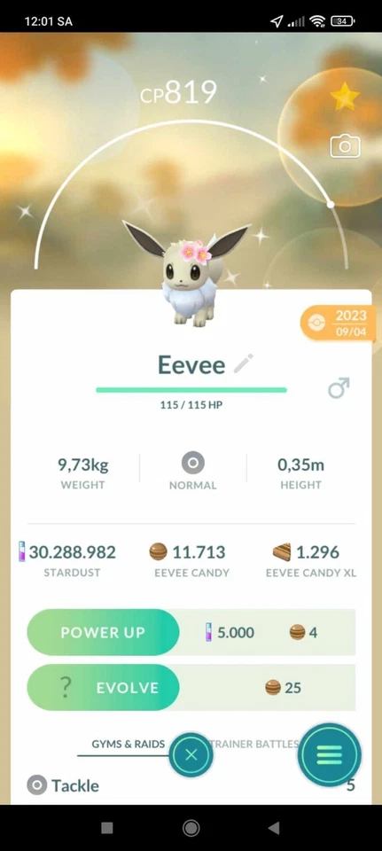 Pokemon Shiny Eevee Male With Cherry Blossom - TRA'DE 20k dust GO - Description