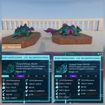 MAEGUANA GALAXY TOP FOOD BABY PAIR ARK ASCENDED PVE OFFICIAL PS5/PC/XBOX