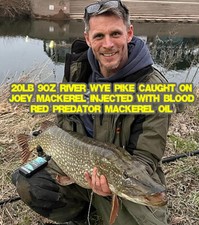 Pike Fishing Natural Bait Oils With BLOOD Pike, Catfish, Zander & Eel by Searigs