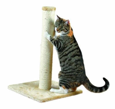 trixie parla scratching post