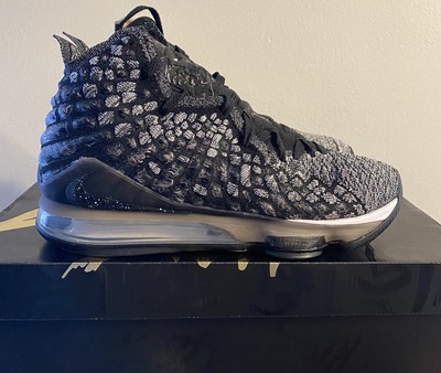 lebron 17 man in the arena