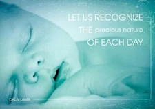 Precious - New Baby - Tree Free Greeting Card - 12853