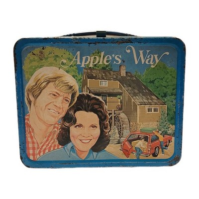 Apple's Way 1975 VTG Metal Lunchbox No Thermos King Seeley CBS TV