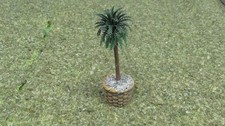 3" Palm Tree in Ceramic Planter for Dollhouse Fairy Garden Village Display 138