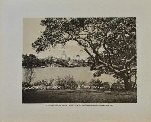 Antique Oakland California Merritt Lake Souvenir Art History 1904