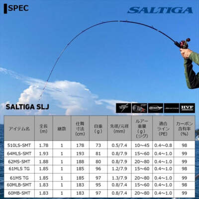 Daiwa　SALTIGA　SLJ　60MLB-SMT Daiwa Saltiga SLJ 60MLB-SMT (Baitcasting 1pcs) | eBay