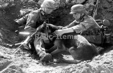 WW2 Picture Photo Two German soldiers K98 Rifle with Shepherd Dog 0258