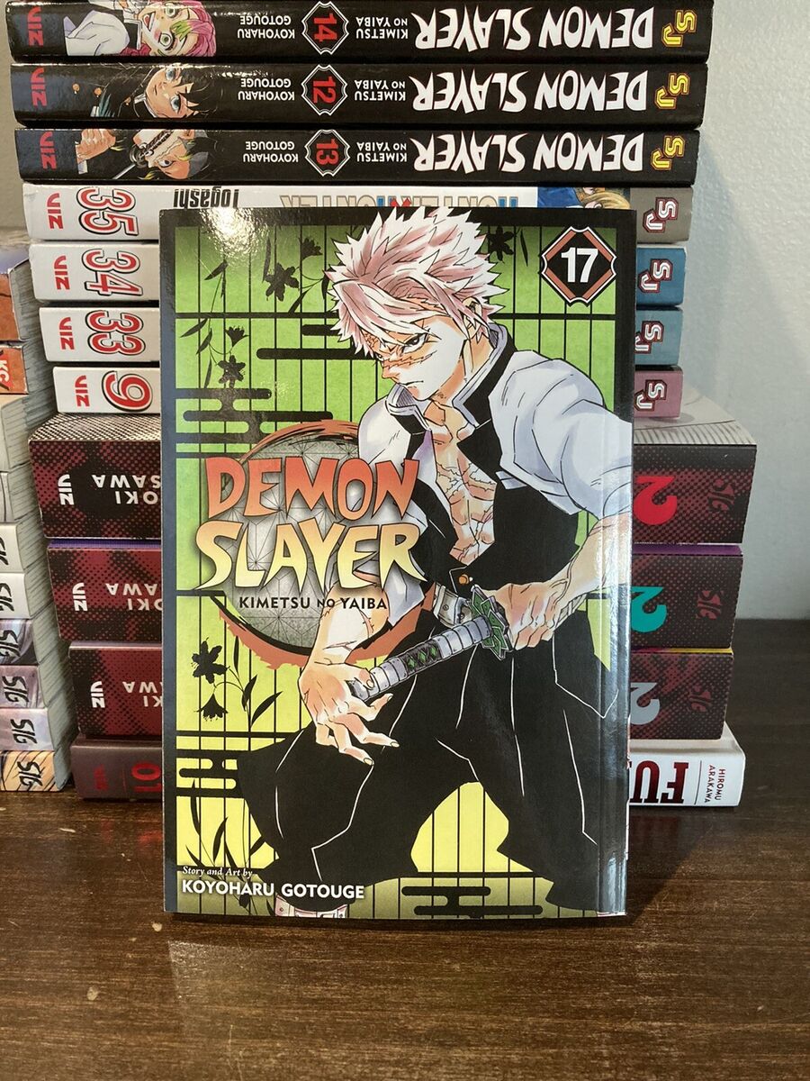 Demon Slayer Kimetsu No Yaiba, Mangá Vol. 12 Ao 17