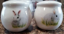 Salt & Pepper Shaker Set Ceramic White with Bunny Rabbits New in Box springs