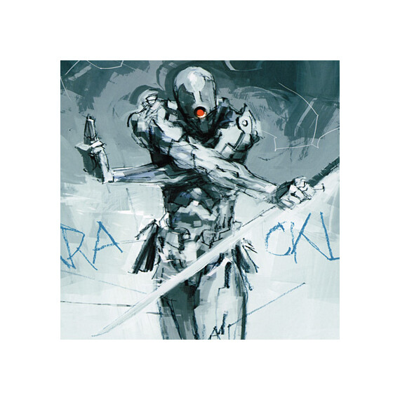 17x22 Print - Metal Gear Solid Gray Fox AW Poster 0204 | eBay