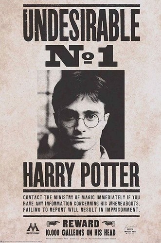 Harry Potter Unerwünscht Nr. 1 61 x 91,5 cm Maxi Poster
