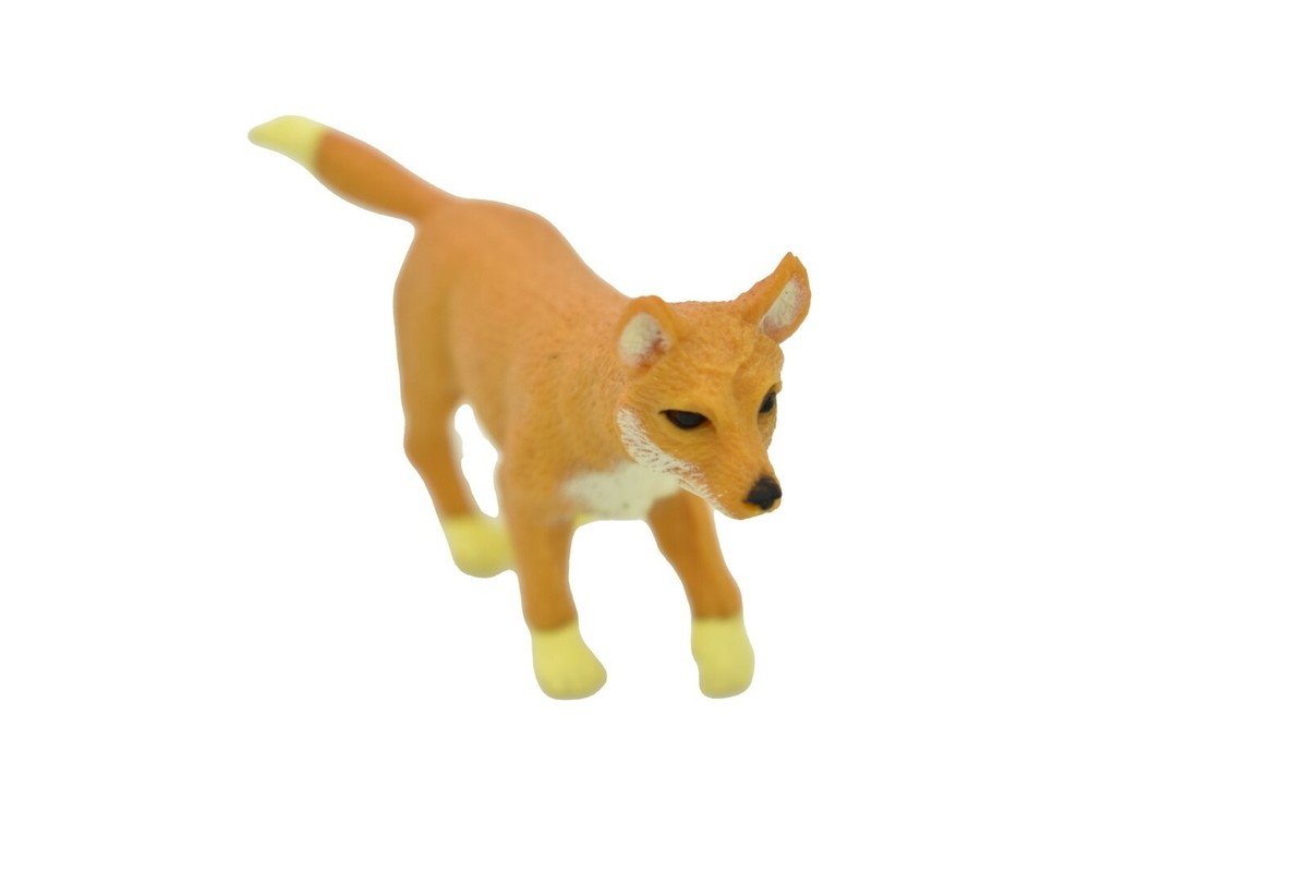 Dingo, Set of 2, Educational Toy, Kids, Realistic Figure, Model