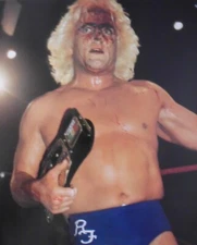 MID ATLANTIC 1980-81 CHAMPIONSHIP PRO WRESTLING DVD (W-933)