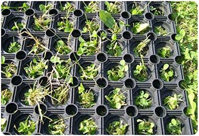 Messa In Posa Pavimentazione Antiurto Per Parco Giochi - Foto 14