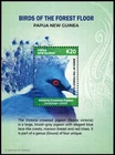 PAPUA NEW GUINEA 2024 BIRDS