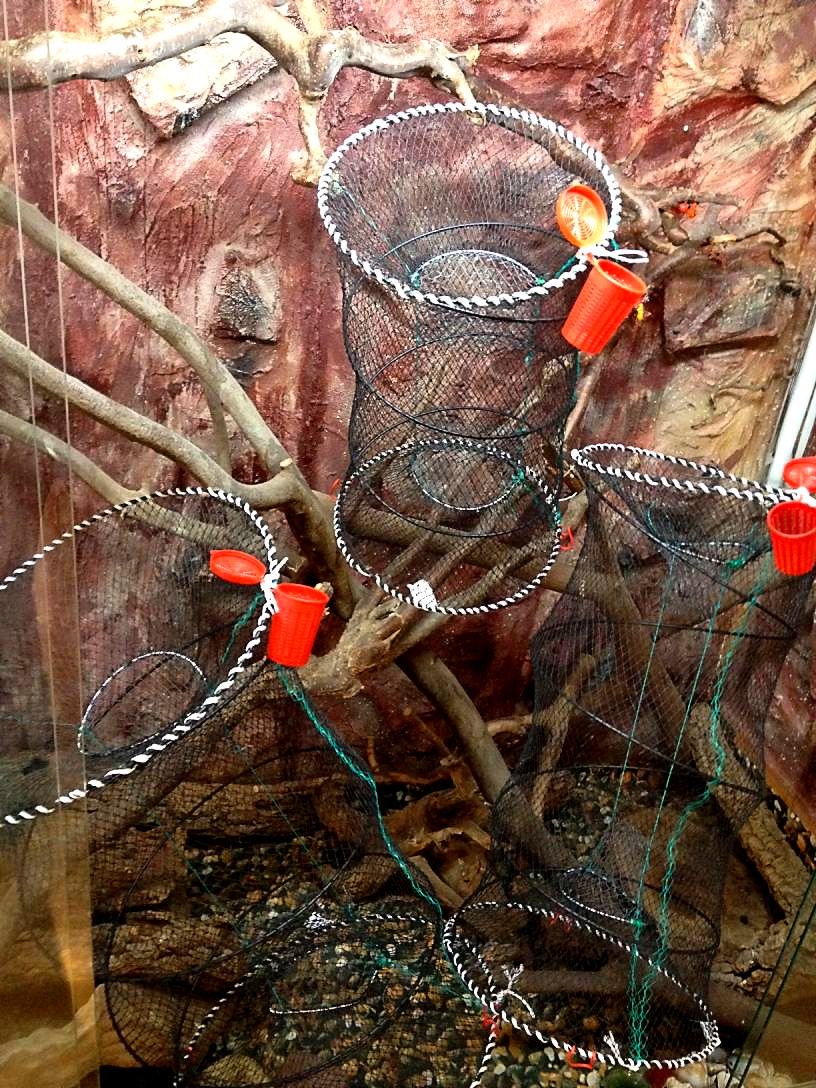 Krebsreuse Fischfalle - Tragbarer Fischfallenkäfig Für Krebse & Krabben