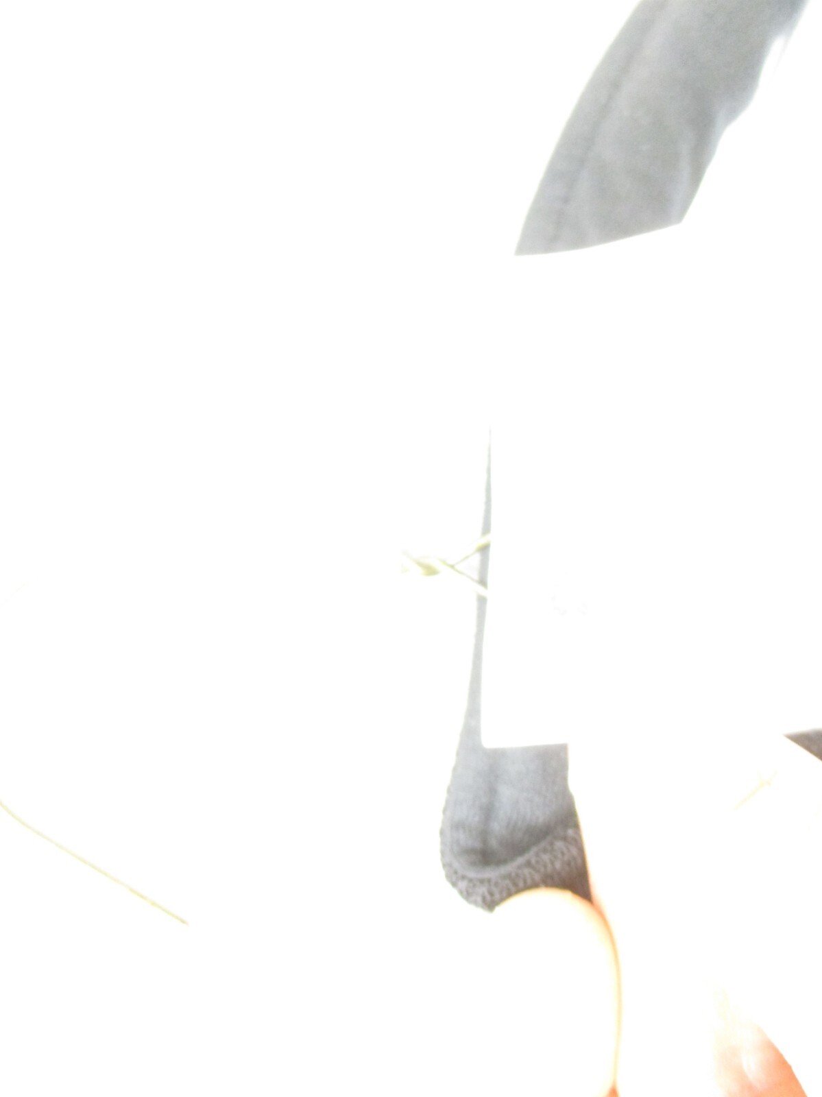 Bild 12 von 12