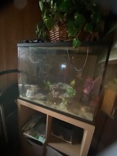 45 gallon fish tank