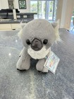 Webkinz Koala, Brand New With Both Unused Next Code And Classic!! — photo 1