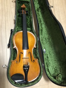 Karl Hofner Violin | eBay