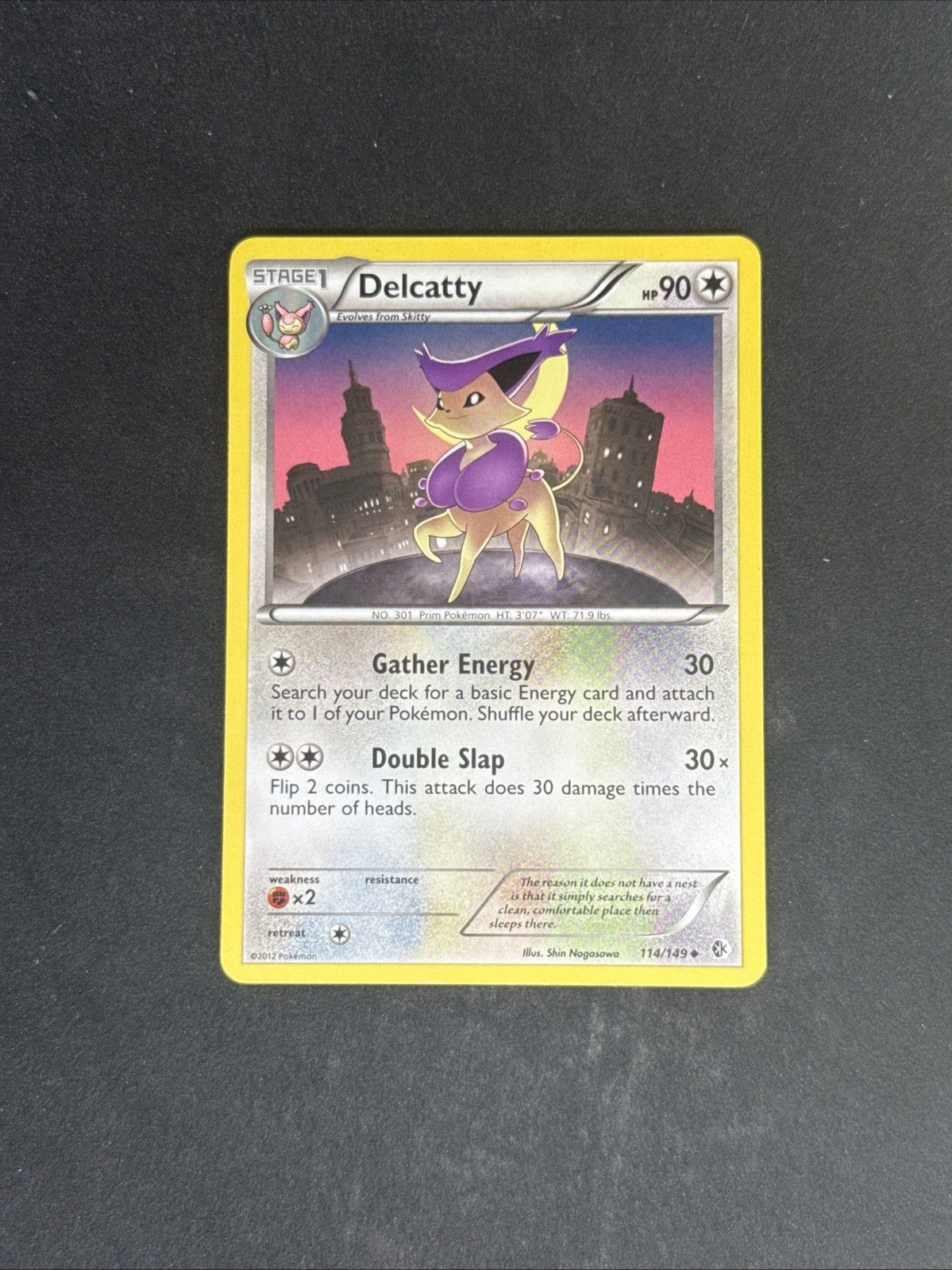 NM Delcatty 114/149 Boundaries Crossed Regular