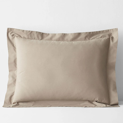 TCS Set of 2 Company Cotton Classic Cool Cotton Percale Sham