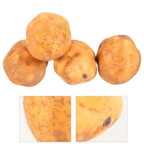 4pcs Artificial Potatoes Fake Potatoes Realistic Lifelike Vegetable Kitchen - 第 11/12 張圖片