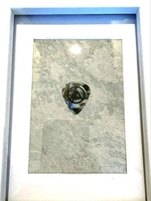 Linkin Park Linkinpark Pick